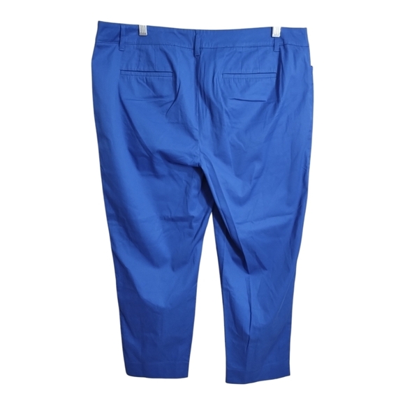 Talbots Perfect Crop Plus Size Business Casual Office Preppy Vacation Pants 14 - Picture 2 of 5